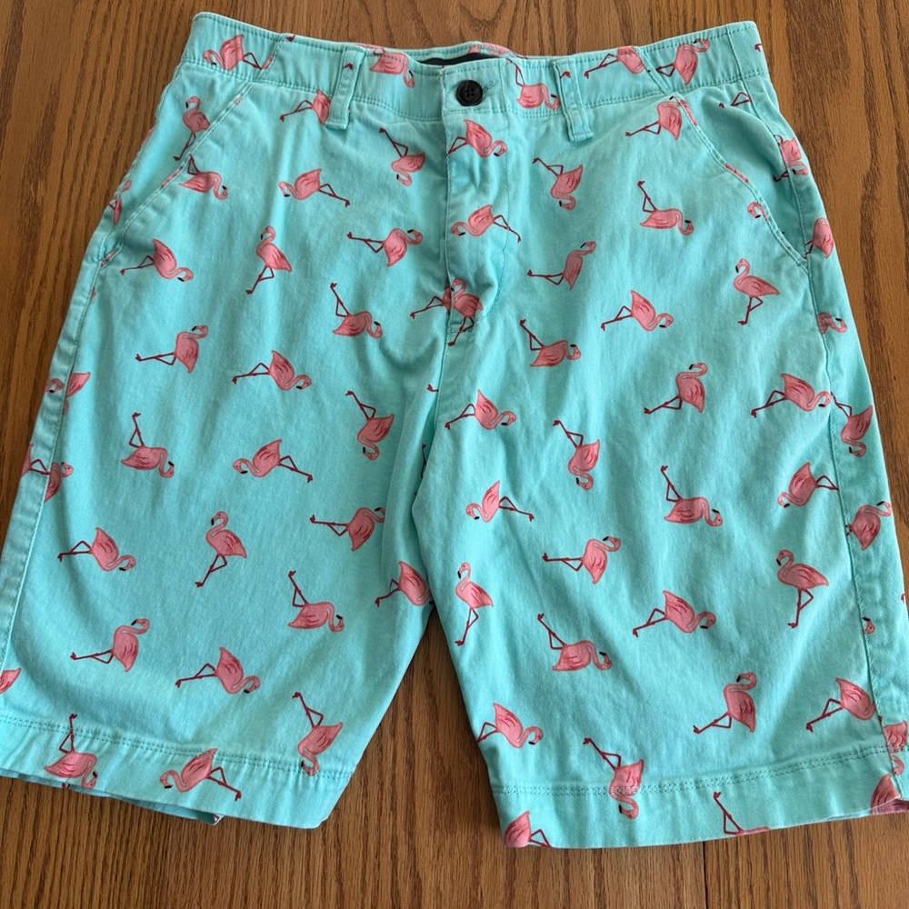 Plugg Aqua Flamingo Shorts